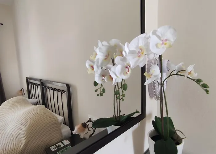 Διαμέρισμα Paradise Garden Paros *