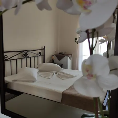 Paradise Garden Paros Appartement *