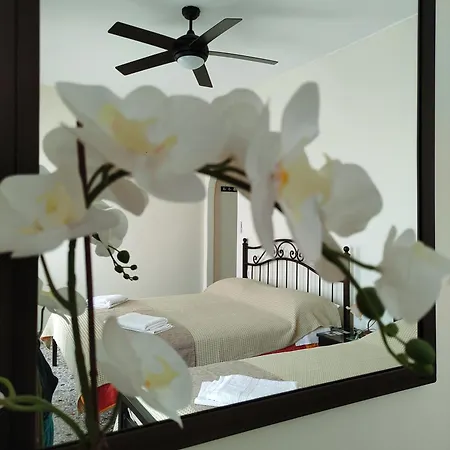 Paradise Garden Paros Appartement *