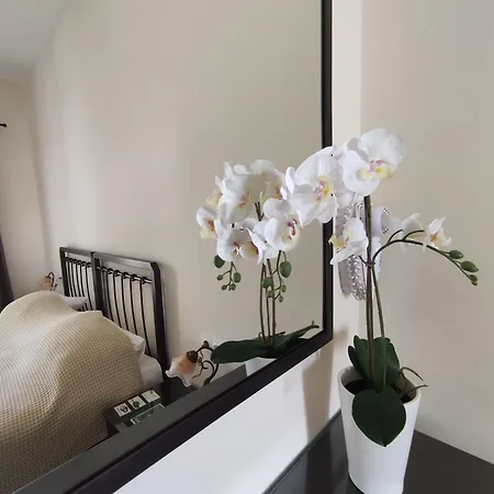 Appartement Paradise Garden Paros *